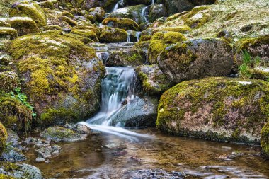 Ormandaki Yosun kaplı Kayalar ve Yumuşak Şelale
