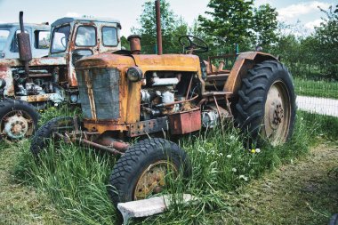 Rusty Vintage Traktörleri Overgrown Field 'da Terk Edildi