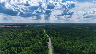Yoğun Yeşil Orman 'da, Bulutlu Gökyüzü Altında Dolaşan Yol Manzarası