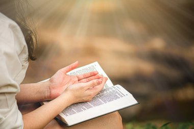 Hands of a woman on the bible. she is reading and praying over bible in garden Concepts of Christianity. clipart