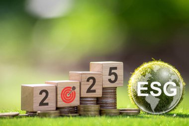 ESG 2025 çevre, sosyal ve yönetim kavramı. Sürdürülebilir şirket geliştirme, yeşil iş, CO2, SDG ve Net Zero. Dünya Çevre Günü. Dünyayı kurtar. Yeşil enerji. Çevre dostu.