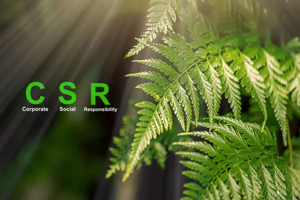 CSR Banner Business and Corporate Concept, Kurumsal Sosyal Sorumluluk ve Topluma Geri Verme, CSR simgesi ahşap blok yeşil arka plan