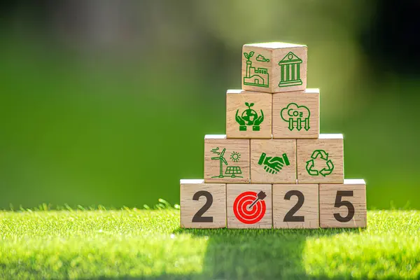 ESG 2025 çevre, sosyal ve yönetim kavramı. Sürdürülebilir şirket geliştirme, yeşil iş, CO2, SDG ve Net Zero. Dünya Çevre Günü. Dünyayı kurtar. Yeşil enerji. Çevre dostu.