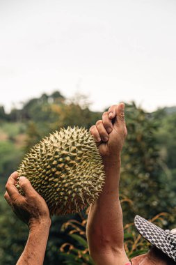 Asyalı kadın bahçıvan hasat sonrası Durian meyvelerini gösteriyor. Gülümsüyor. Bahçesindeki meyve ürünleriyle gurur duyuyor ve mutlu. Konsept: mutlu çiftçi. Organik tarım .