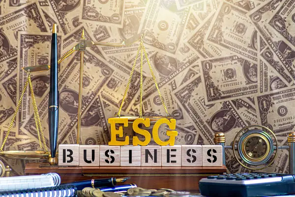 Çevresel finans sektörü esg Çevre, Sosyal, Yönetim Konseptleri sürdürülebilir organizasyonel kalkınma hakkında