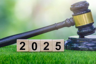 2025 yasaları, 2025 yılının hukukunda değişiklikler, yeni yasalar, kurallar, emirler, vergiler, yargılar, emsaller, mahkeme kararları. Yasa değişiklikleri 2025 