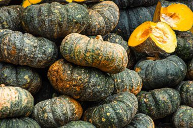 Yeşil balkabağı arka planı. Tayland, Bangkok.
