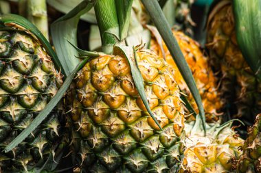 taze ananas meyve yığın Market'teki
