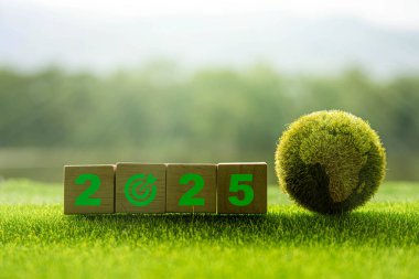 Gelecek yıl için yeni hedefler, planlar ve vizyonlar 2025. Sürdürülebilir çevre geliştirme hedefleri, yeşil işletme, ESG, CO2, SDG ve NetZero Concept. Dünya Çevre Günü. Dünyayı Kaydet.