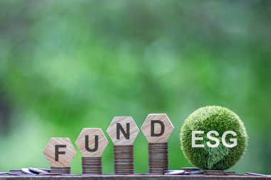 ESG fonu, yeşil işletme fikri Sürdürülebilirlik Finans ve Yatırım ve Karbon Kredileri