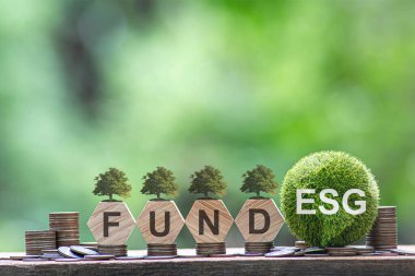 ESG fonu, yeşil işletme fikri Sürdürülebilirlik Finans ve Yatırım ve Karbon Kredileri