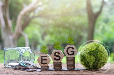 ESG fonu, yeşil işletme fikri Sürdürülebilirlik Finans ve Yatırım ve Karbon Kredileri