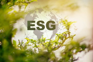 Ağ bağlantısında sürdürülebilir ve etik sektörde çevre, sosyal ve yönetim için tkristal küreye ilişkin ESG simgesi kavramı