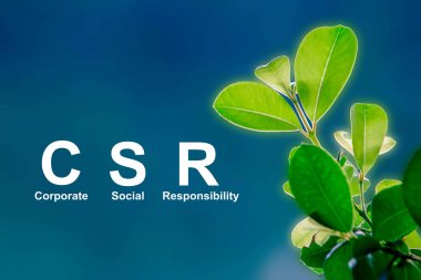 CSR Banner Business and Corporate Concept, Kurumsal Sosyal Sorumluluk ve Topluma Geri Verme, CSR simgesi ahşap blok yeşil