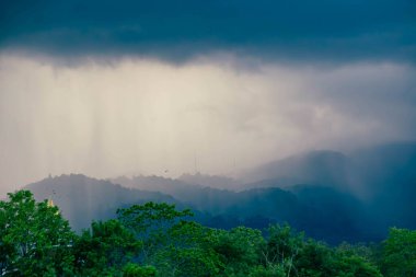 Yağmurlu bir sabahtan sonra Chiang Mai, Tayland 'daki Doi-Pui' de dağı, sisi ve klonu görmek için görüş açısı