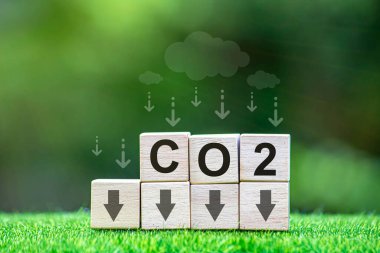Karbondioksit Doğal arkaplanda metni CO2 olan tahta küp.
