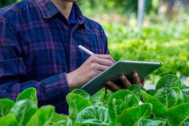 Smart farming and farm technology concept. Smart young asian farmer man using tablet to check quality and quantity of organic hydroponic vegetable garden at greenhouse in morning.