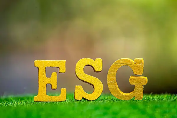 ESG çevre, sosyal ve yönetim kavramı. Sürdürülebilir şirket gelişimi. Çevresel arka planda bir tahta blokta ESG kelimeleri. Sürdürülebilir organizasyon için fikir