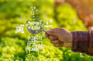 Çiftçinin eli akıllı veri inceleme teknolojisinde bir büyüteç tutuyor ve dijital buluta veri gönderiyor. Topraktaki bitki kalitesinin analizi ve kontrolü, akıllı dijital tarım