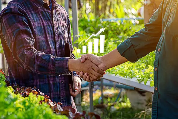 Sebze çiftçileri ve iş adamları arasındaki alım satım işlemlerine yakından bakın.