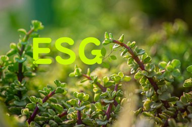 Ağ bağlantısında sürdürülebilir ve etik sektörde çevre, sosyal ve yönetim için tkristal küreye ilişkin ESG simgesi kavramı yeşil arka planda.