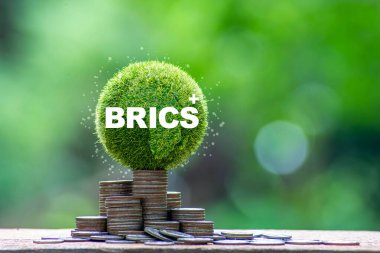 BRICS: Gelişmekte olan ülkelere daha büyük bir rol vermek için küresel ekonomik yönetim yapısında reform; dolara olan bağımlılığı azaltmak için yerel para birimlerinin uluslararası işlemlerde kullanımını teşvik etmek; alternatif uluslararası mekanizmalar yaratmak