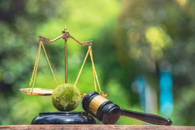 Çevre hukuku. Yeşil Dünya ve yeşil üzerinde adalet terazisi olan tokmak. Sürdürülebilir çevre koruma ilkeleri yasası. İnsanların çevreleriyle nasıl etkileşim kurduklarını yöneten yasalar