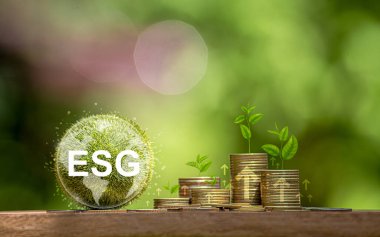 ESG girişimleri olumlu değişikliklere yol açar, iklim hareketini destekler ve yeşil iş uygulamalarını ve çevre dostu yatırım fırsatlarını desteklerken dünyayı korumak için karbon ayak izini azaltır.