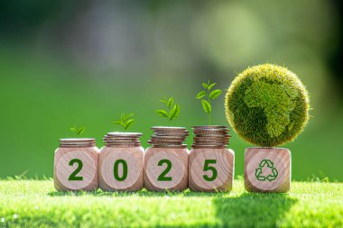 2025 ESG kavramı, Sürdürülebilir Kalkınma Hedefi (SDG 'ler) Yeşil orman doğası SDG' leri, ESG, NetZero ve CO2 kavramları üzerine sürdürülebilir geliştirme tahta blok fikirleri