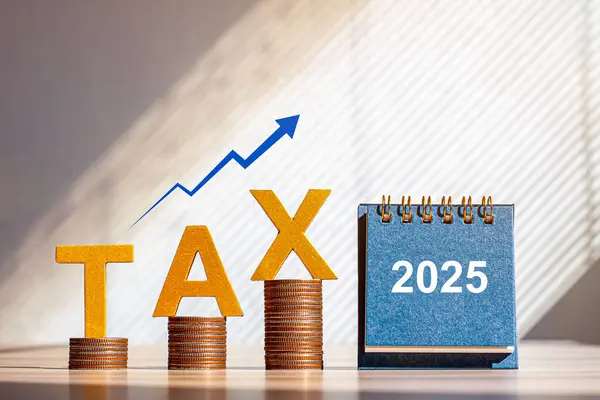 Tahta bloklar ve harflerle 2025 vergisi kavramı. Yeni yıl konseptinde iş bütçesi planlaması ve yatırım artışı. Vergi belgelerini çevrimiçi ödemek için gelir vergisi ve vergi başvurusu.