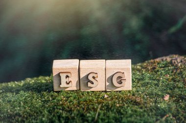 ESG - Çevre Sosyal ve Yönetim, ahşap küplerin kısaltması Yosun ESG, Dünya sürdürülebilir çevre kavramı.