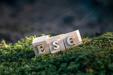 ESG - Çevre Sosyal ve Yönetim, ahşap küplerin kısaltması Yosun ESG, Dünya sürdürülebilir çevre kavramı.
