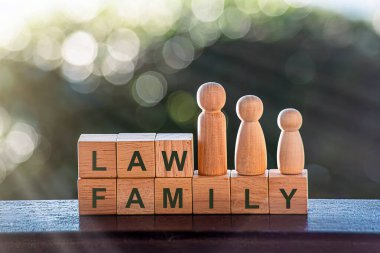 Avukat Adaleti Ölçüyor - Hukuk Aile Hukukunu Gençlerin Korunmasını da kapsıyor