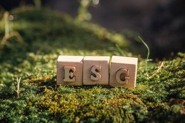 ESG - Çevre Sosyal ve Yönetim, ahşap küplerin kısaltması Yosun ESG, Dünya sürdürülebilir çevre kavramı.