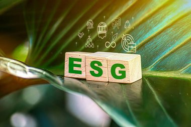 ESG çevre, sosyal ve yönetim kavramı. Ekolojik yaklaşımla sürdürülebilir bir iş. Dünyayı temiz tut. Kelime esg ile tahta blok yeşil arkaplan simgeleri ile.