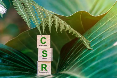 CSR (sosyal sorumluluk eşgüdümü). Tahta blokta CSR ve yeşil arka planda yeşil dünya. Bu kurumsal sosyal sorumluluk ve toplumsal aktivite kavramı için bir fikir..