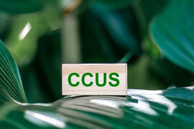 Karbon Yakalama, Kullanım ve Depolama (CCUS) kavramı. Ahşap bir blokta CCUS ve dünya haritalı Yeşil Dünya. Karbondioksit yakalama ve depolama teknolojisi. Net sıfır hedef, küresel ısınmayı sınırla.