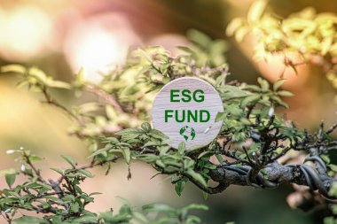 ESG Fonu Konsepti. Yeşil arkaplandaki ahşap küplere Esg simgeleri. ESG Çevre Yönetimi Yatırım İşletmeleri. Çevresel farkındalıklara yeşil şirket yatırımları. Karbon kredi.