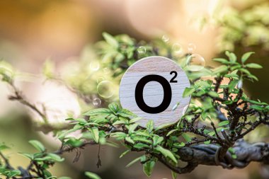 İklim değişikliği ve küresel ısınmayı sınırlamak için CO2 emisyonlarını azaltmak. Oksijen ve karbondioksit karbondioksit moleküllerine karşı ağaç örtüsü. Ağ sıfır. Karbondioksit emilimi ve oksijen salınımı kavramı