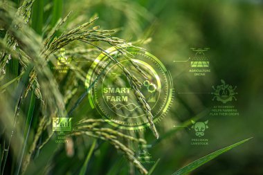 Akıllı Çiftlik İnovasyonu çiftçilere ürünlerini planlamalarında, hayvanlarını doğru şekilde idare etmelerinde, modern çiftçilikte ve sürdürülebilir tarımsal yenilikler yaratmalarında yardımcı olmak için yapay zeka teknolojisini kullanıyor..