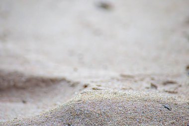 Kumsaldaki ayak izleri.