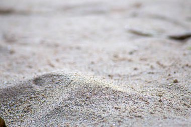 Kumsaldaki ayak izleri.