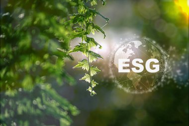 ESG çevre, sosyal ve yönetim kavramı. Ekolojik Yaklaşım ile Sürdürülebilir İş, Dünya 'yı temiz ahşap bloklar olarak tutmak