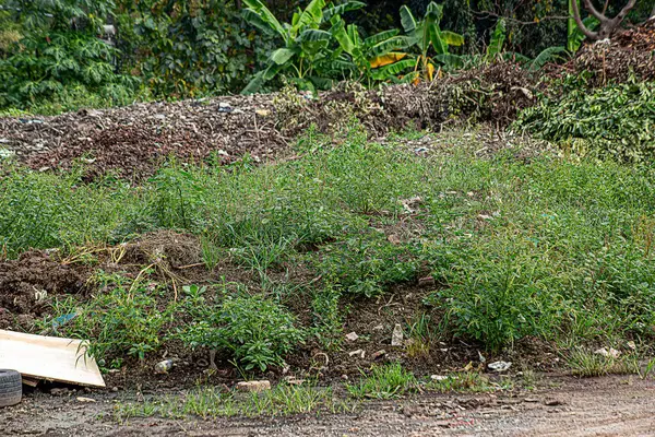 Gübre yığınları toprak mikroorganizmalarıyla doludur. Çiftçilik, çiftçiliğin hiçbir aşamasında kimyasal kullanmadan doğal yöntemlerle yapılır..