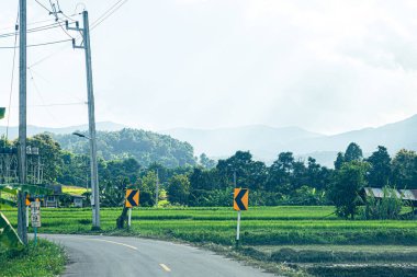 Tayland 'ın Chiang Mai eyaletinde her iki tarafında bol ağaçlı doğal bir yol.