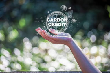 Yeşil enerji, karbon kredi piyasası konsepti. Elinde altın para, üstünde de karbon kredi simgesi var. 2050 'de net sıfır. Çevresinde yeşil enerji simgesi. Endüstride karbon nötr ağ sıfır emisyon eko enerjisi.