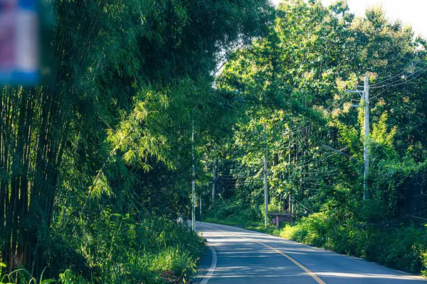 Tayland 'ın Chiang Mai eyaletinde her iki tarafında bol ağaçlı doğal bir yol.