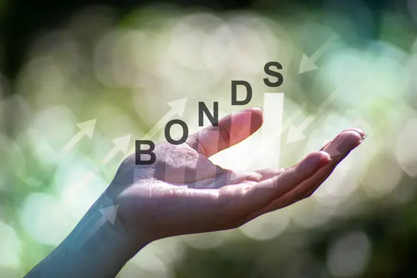 Çevre dostu projeler için BOND Yatırım Çevre dostu projeler için BOND Yatırım terimi