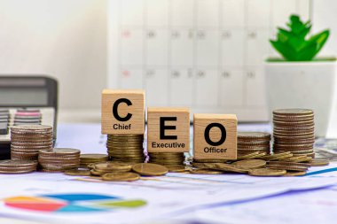 İcra Kurulu Başkanı (CEO), örgütün kilit kararları için kontrol ve denge görevi gören en üst düzey yöneticidir..