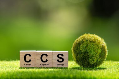 Çevresel arkaplandaki tahta küpteki Karbon Yakalama Depolama Kelimeleri için CCS sembolü. Sıfır aksiyon konsepti. Yeşil enerji, karbon ayak izini azalt, enerjiyi sakla, karbondioksit.